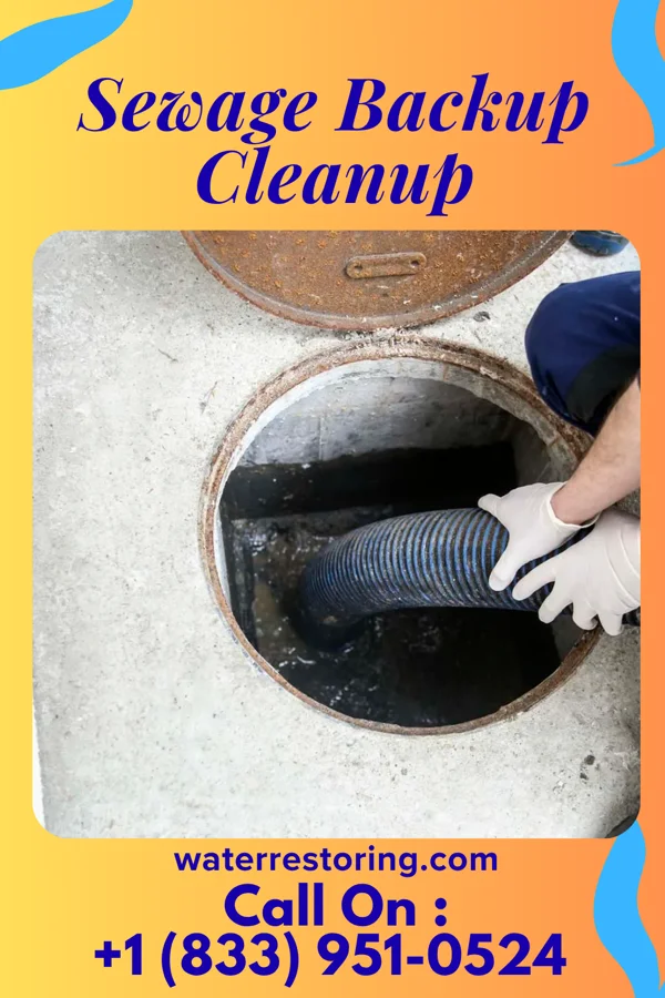 Sewage Backup Cleanup in Rockville, MN