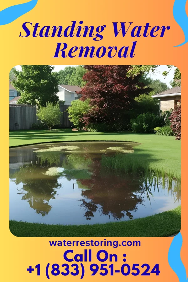 Standing Water Removal in Rockville, MN